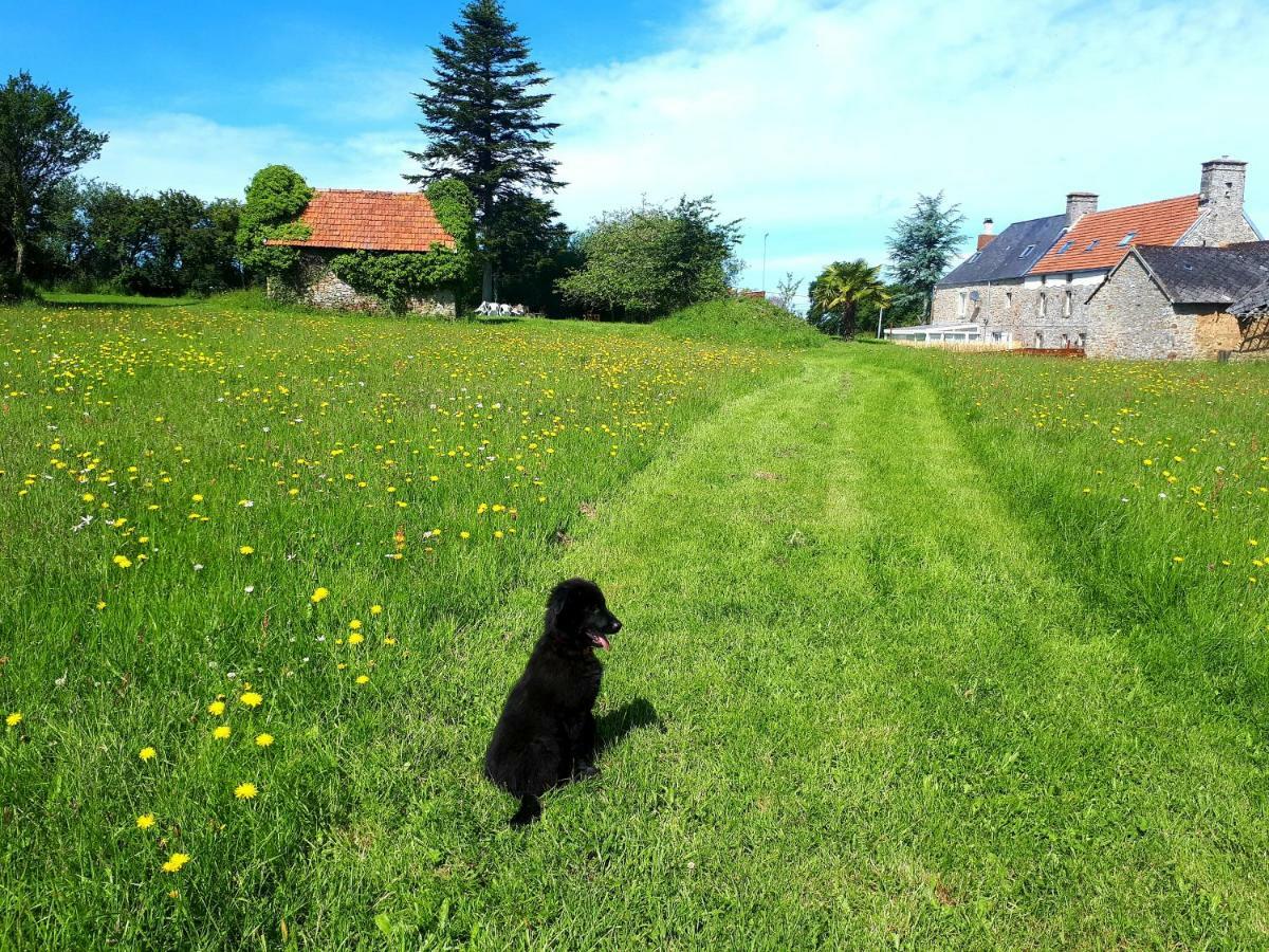L' Anpeg, Gite Dans Le Cotentin Jusqu'A 8 Personnes Besneville Exterior foto